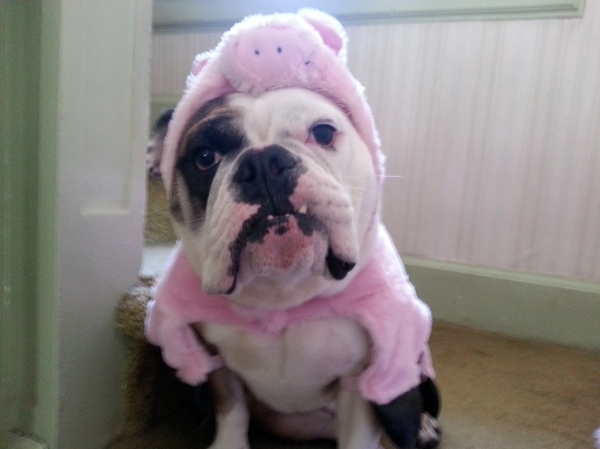 valentina as miss piggy